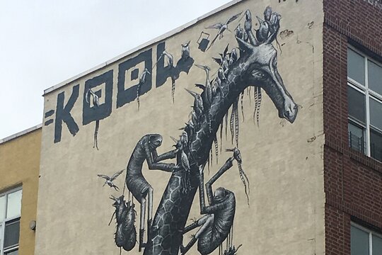 Tour image 2