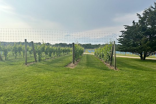 Tour image 3